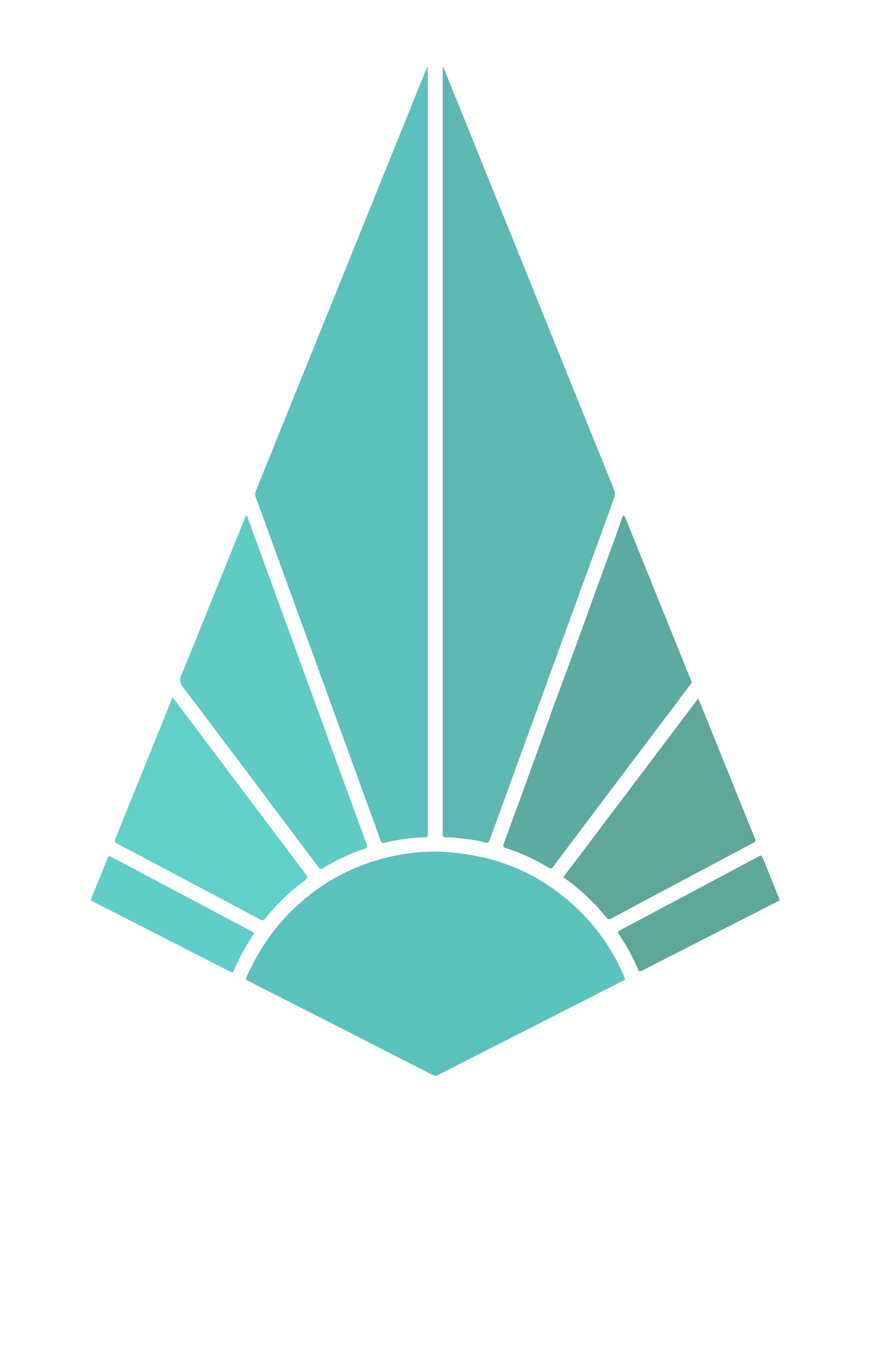 Логотип Фонда Капитаны